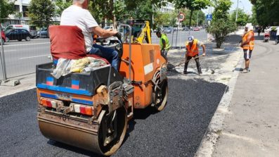 67700767 876066459422813 7624763859001147392 n